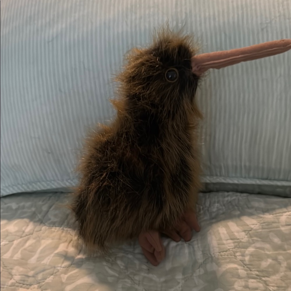 Plush Kiwi Bird Toy